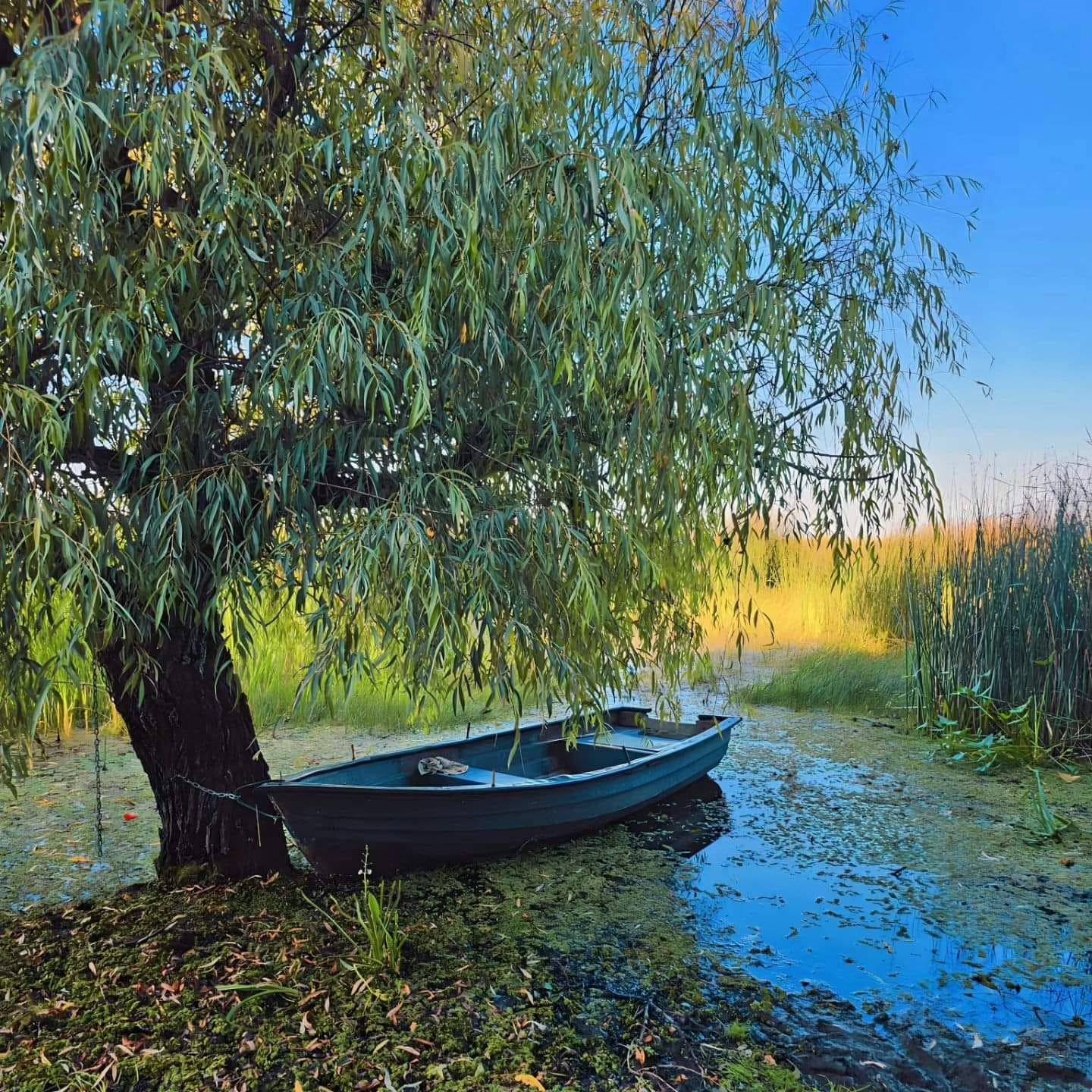 Plimbări cu barca pe canale