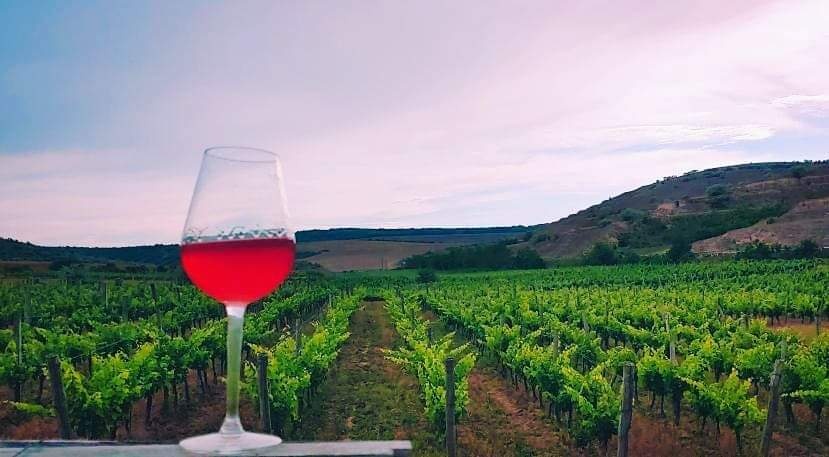 Degustare de Vinuri Locale
